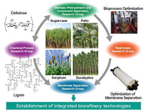 bioprocesses are similar to chemical processes